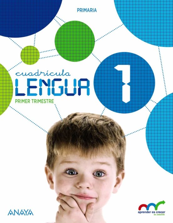 Lengua 1º educacion primaria cuadrícula con lecturas: los misteri os de lupas. andalucia