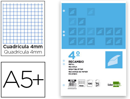 RECAMBIO CUARTO 100 HOJAS 60G/M2 4MM CMARGEN