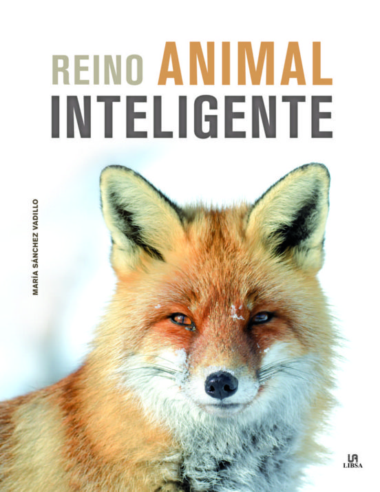 Reino animal inteligente