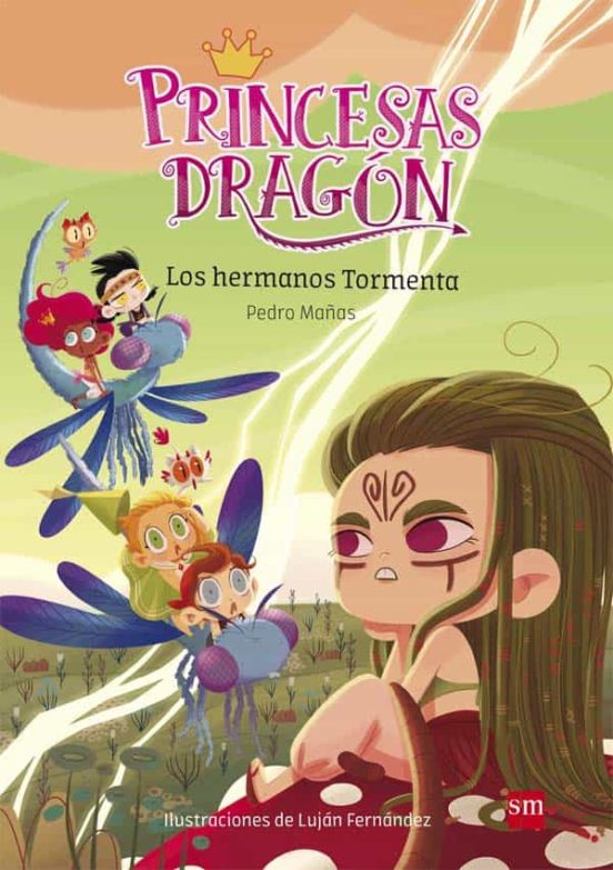 Princesas dragon 5 : los hermanos tormenta