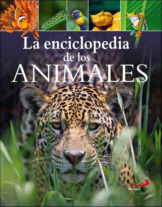 [9788428557511] La encilopedia de los animales