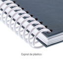 Agenda Escolar Plus Semana Vista Cats 2026-27 Miquelrius