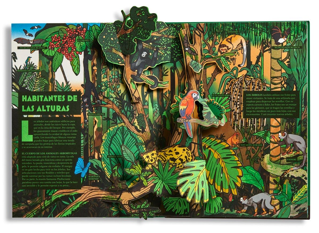 Pop-up Bosques (IDEAKA)