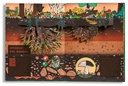 Pop-up Bosques (IDEAKA)