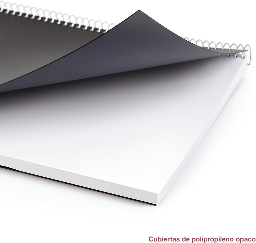 Agenda 2026 día por página, Más pequeña que A4 (210 x 270 mm), Cubierta flexible polipropileno, Espiral, Papel 80 g/m², Planificador diario, Español-EN-PT, Color negro Miquelrius