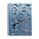 Agenda escolar Plus 150x213 S/V OCEAN 2024-2025 MR