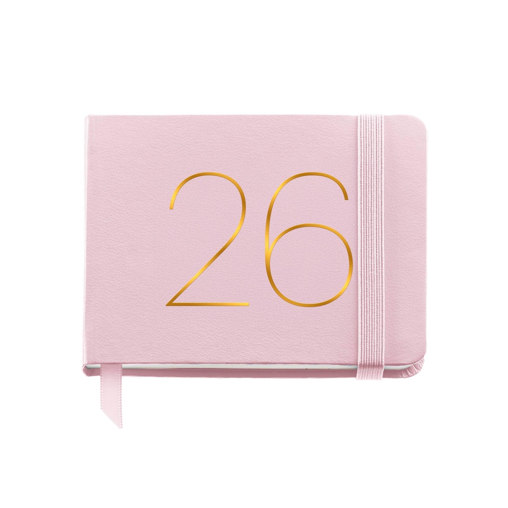 AG.POCKET S/V CHESTER RIG.ROSA 26