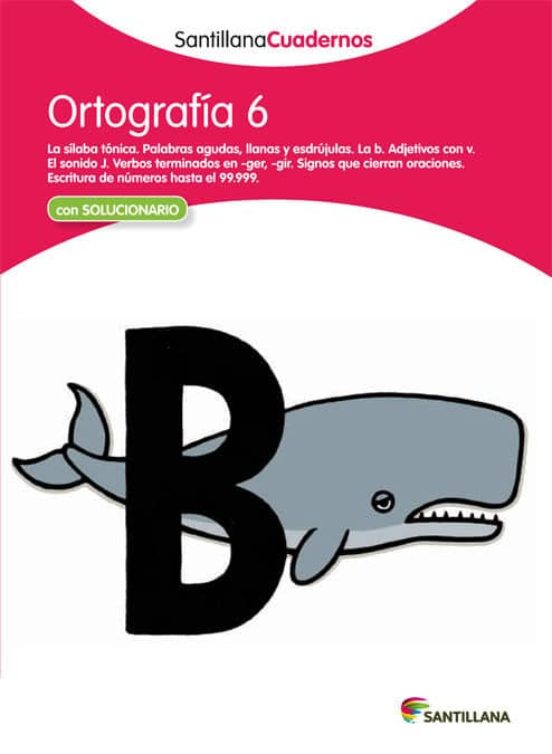 Ortografia 6