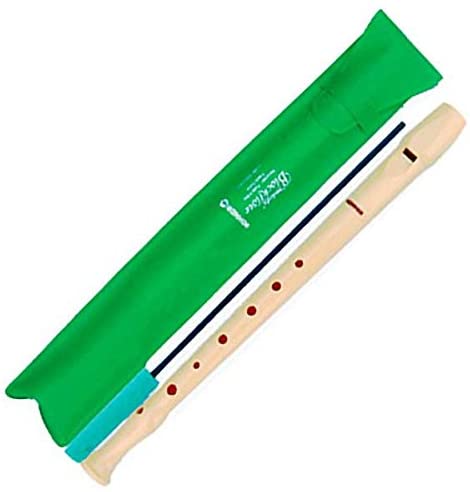 Flauta Hohner funda verde + escobilla