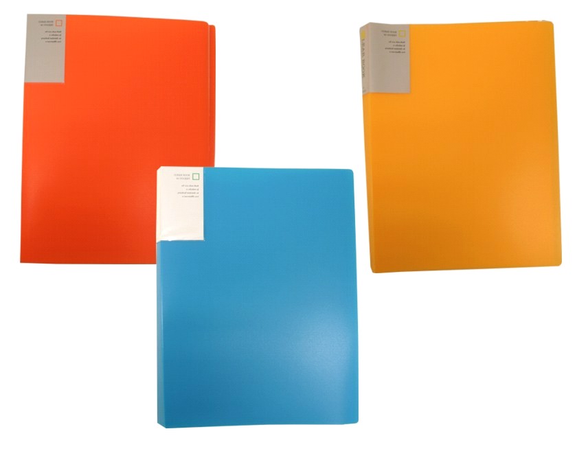 Carpeta 60 fundas A4 colores neon transparente