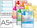 [BC68] Cuadernos espiral 4X4 pautaguia A5+ T/D Liderpapel
