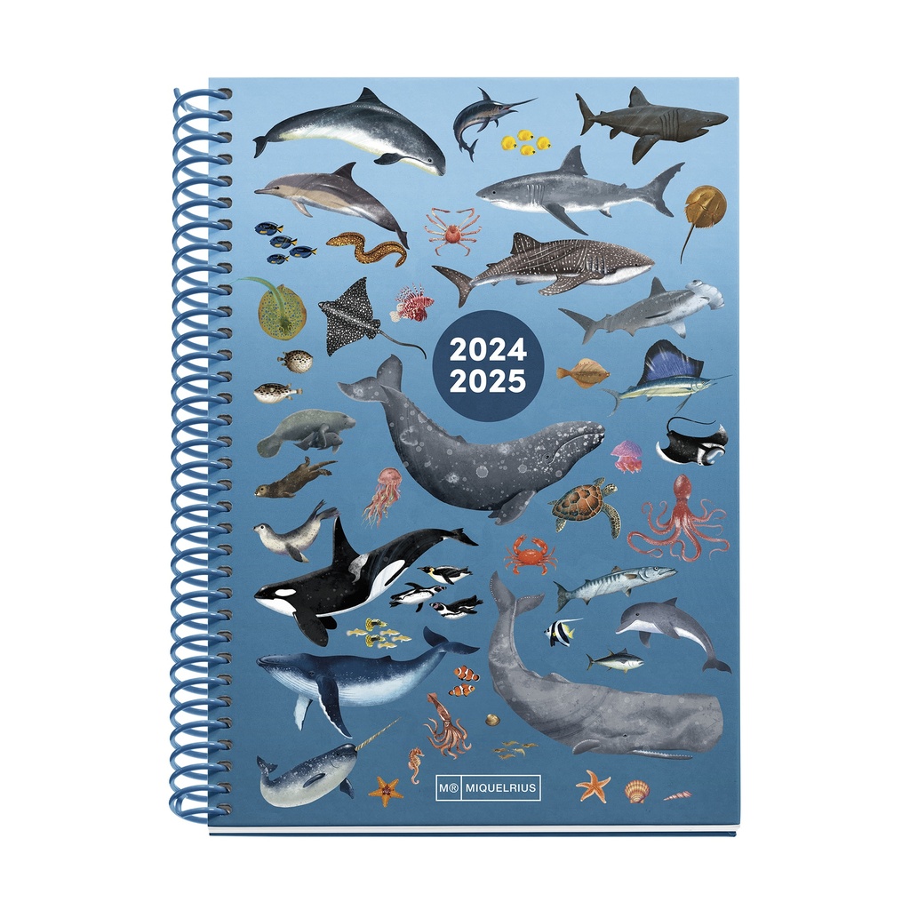 [MR26691] Agenda escolar Plus 150x213 S/V OCEAN 2024-2025 MR