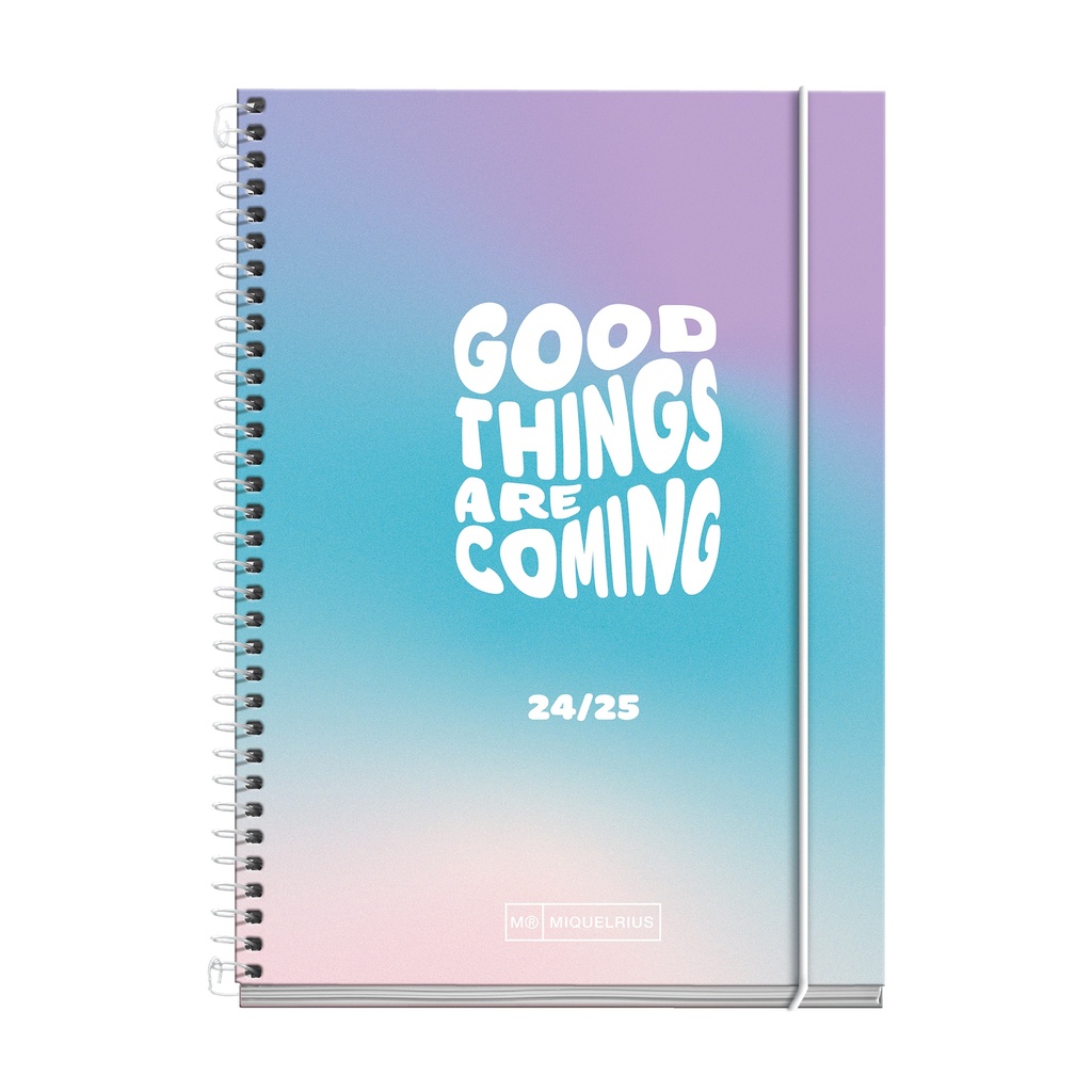 [MR26641] Agenda escolar Activa S/V DS GTAC 2024-2025 MR