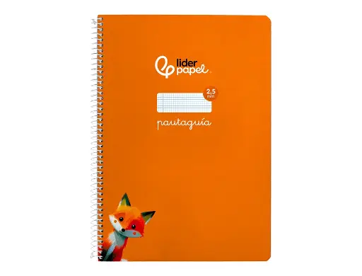 Cuaderno espiral 2,5X2,5 pautaguia A4 90G 80H T/D Liderpapel