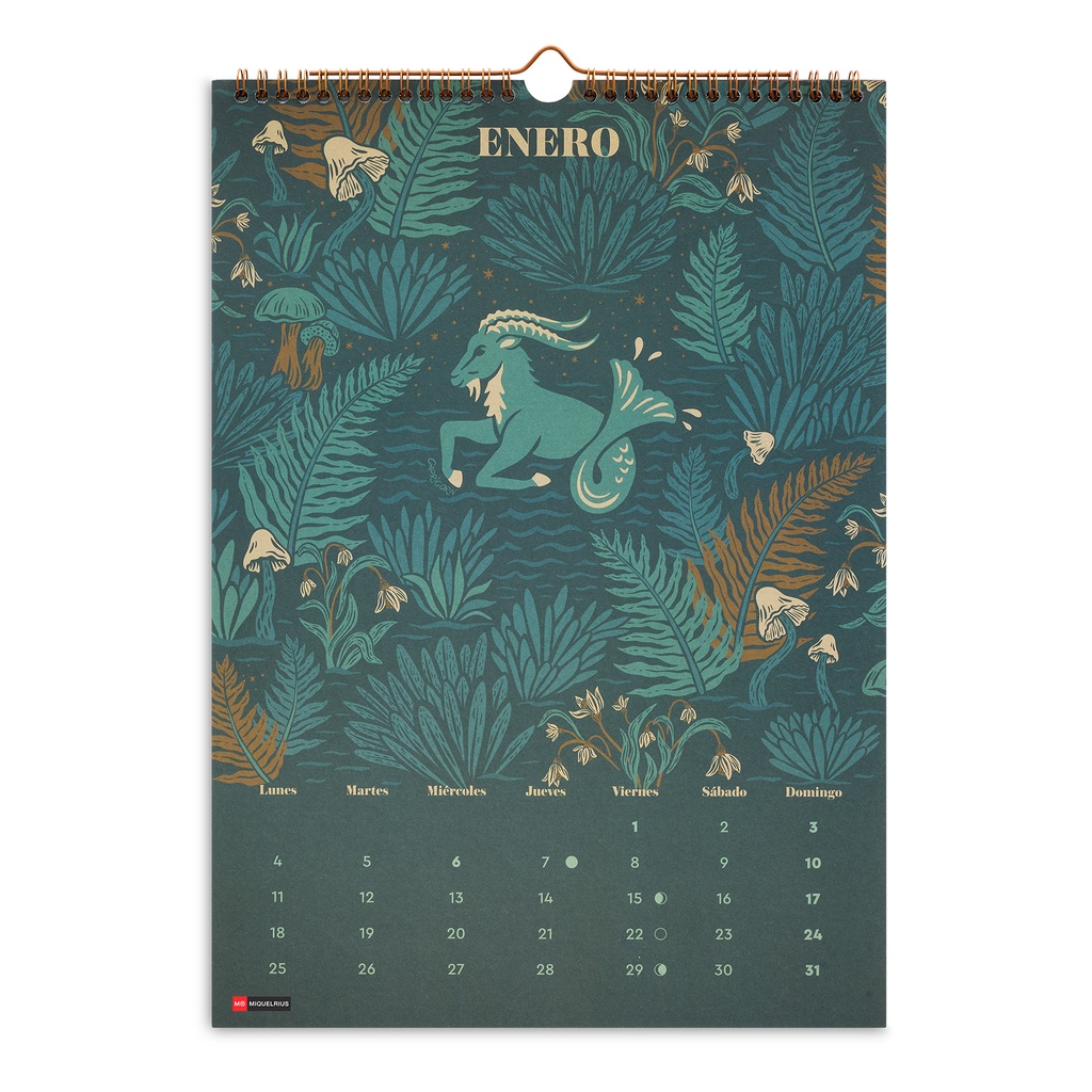 [MR28450] Calendario Pared 28x39,7 Astral 2027